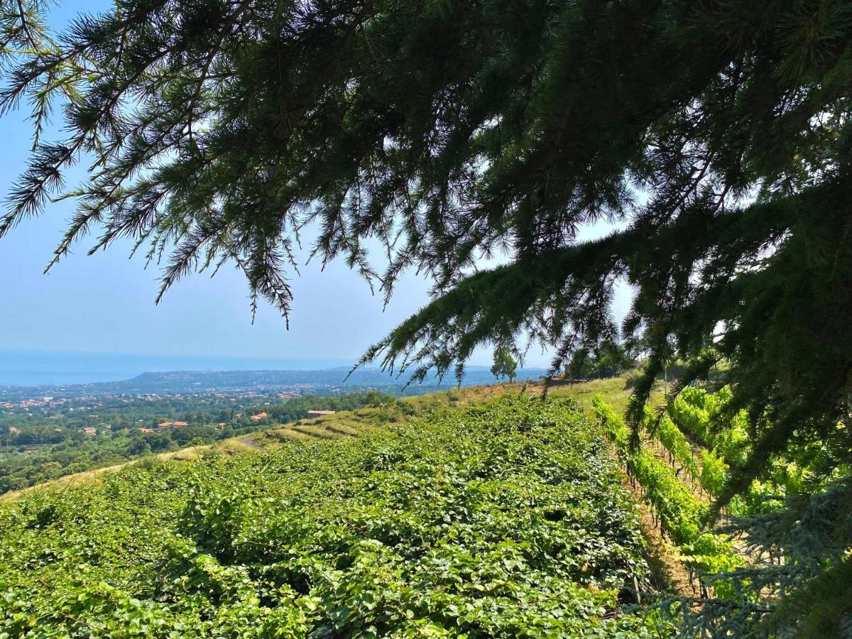 Tenuta Kiwi Dell'Etna Milo Εξωτερικό φωτογραφία