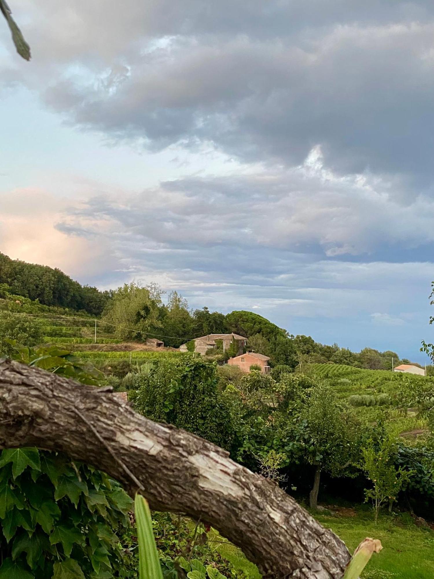 Tenuta Kiwi Dell'Etna Milo Εξωτερικό φωτογραφία